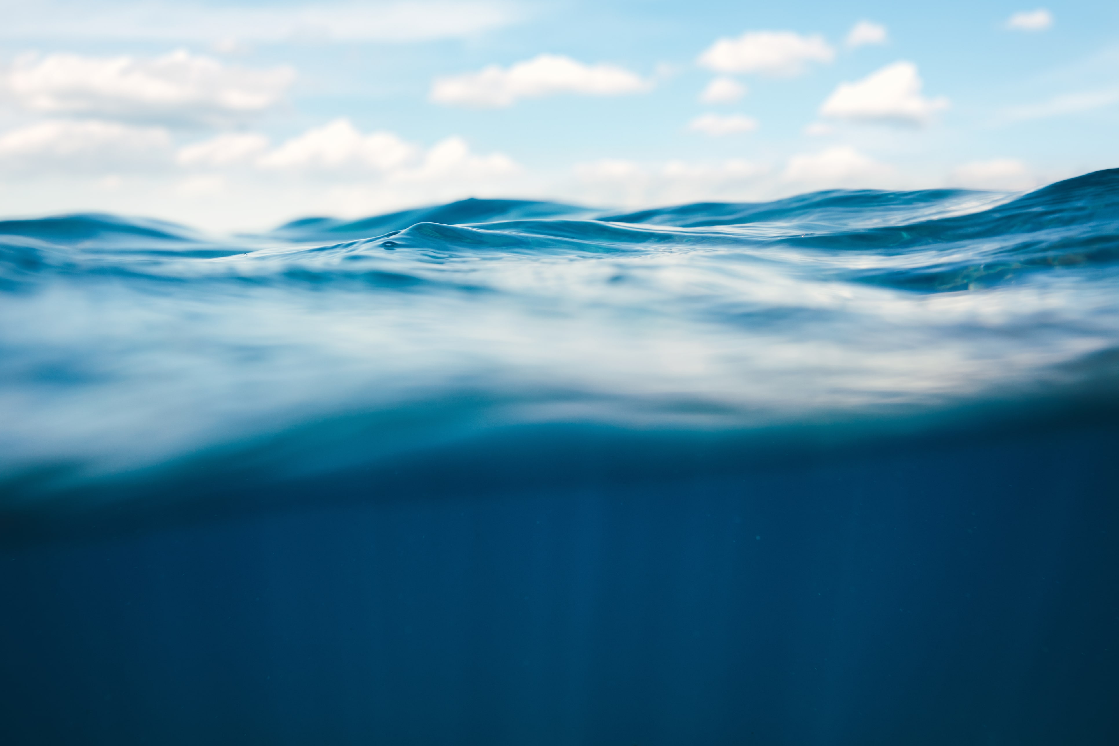 Below_the_Water_Line
