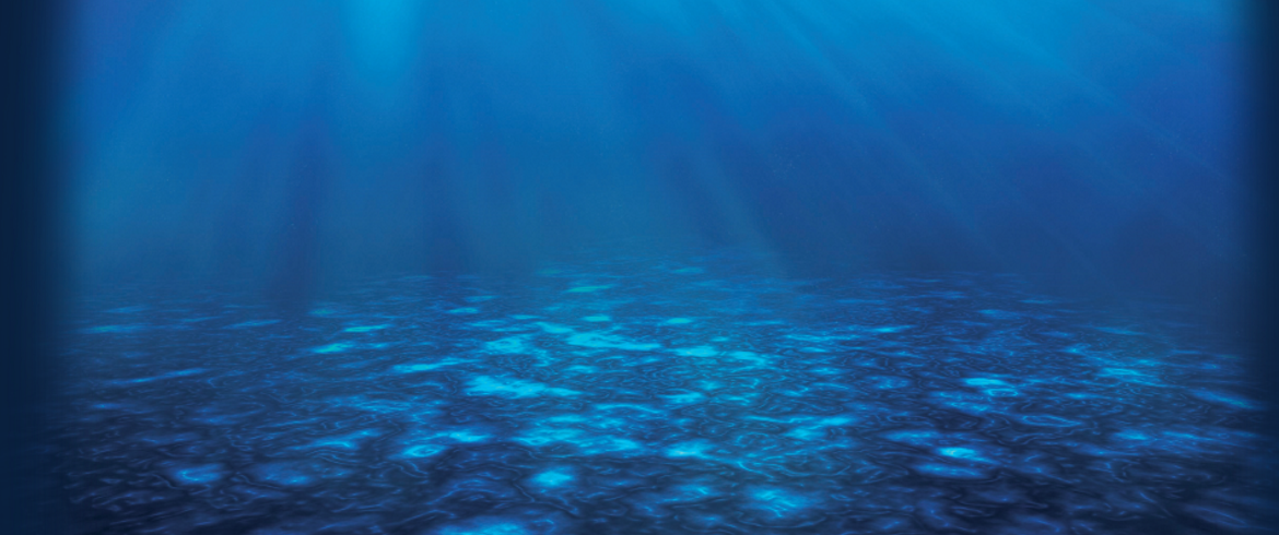 We are marine data experts supporting safer, smarter planning and management of marine operations