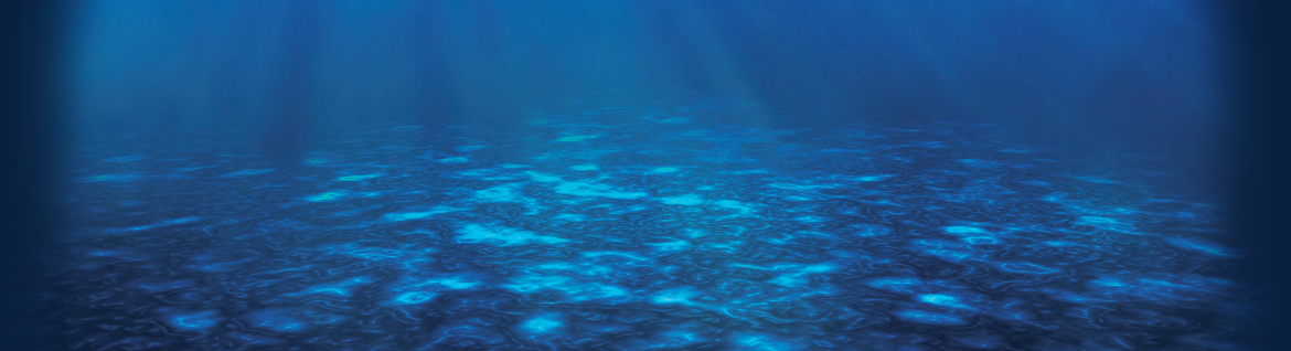 We are marine data experts supporting safer, smarter planning and management of marine operations